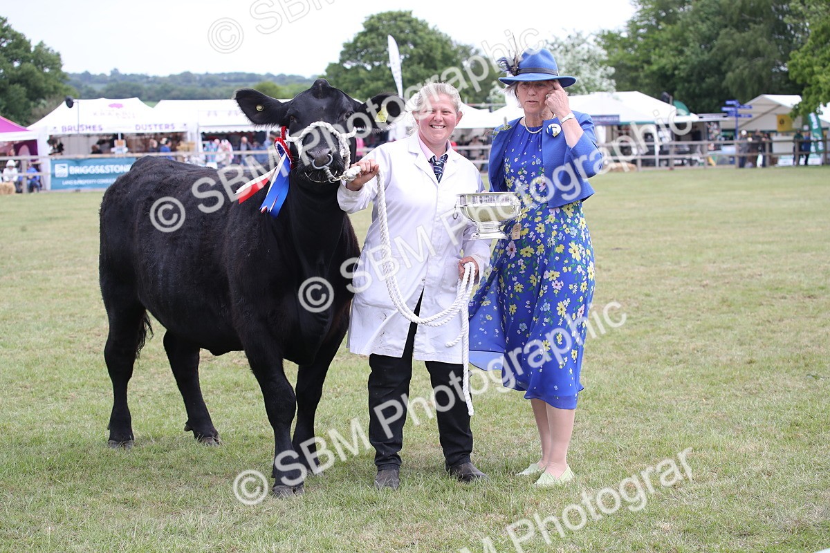 SBM_07945 - Grand Parade