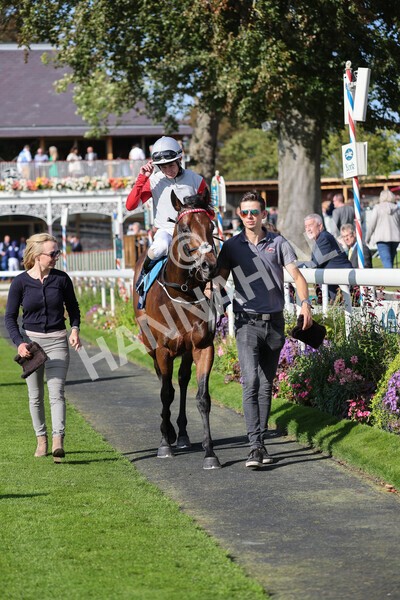 yr08102021r1-31 - Race 1 2.05pm Parsonage Hotel and Cloisters Spa Nursery Handicap