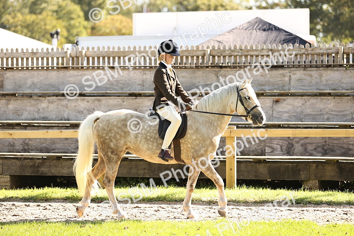 SBM_19065 - S3 - TSR Ridden Pony Showing