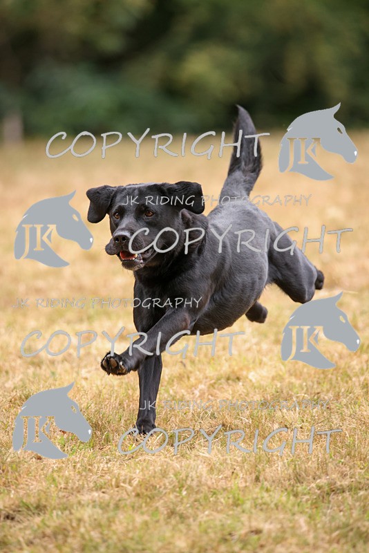 2R6A3485 - ​TEAM A: BORDER COUNTIES & COTSWOLDS 1-2-3