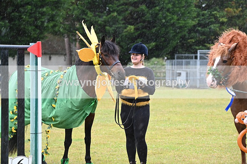 WJ6_9396 - Class 11 Fancy Dress