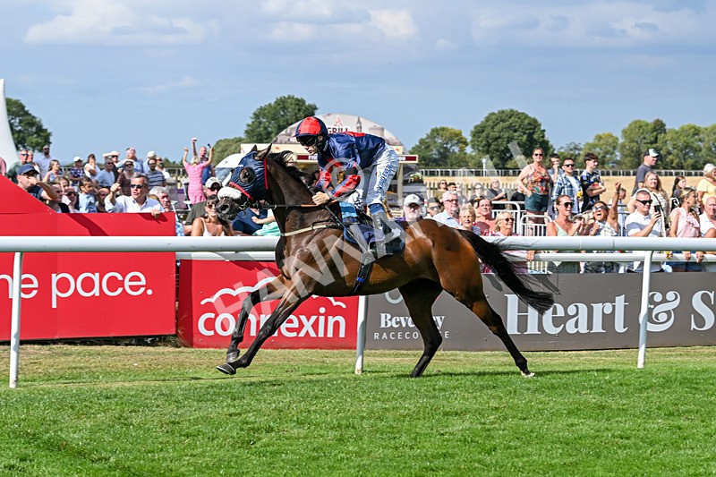 140825-Race 5-Chillhi-1535 - Race 5