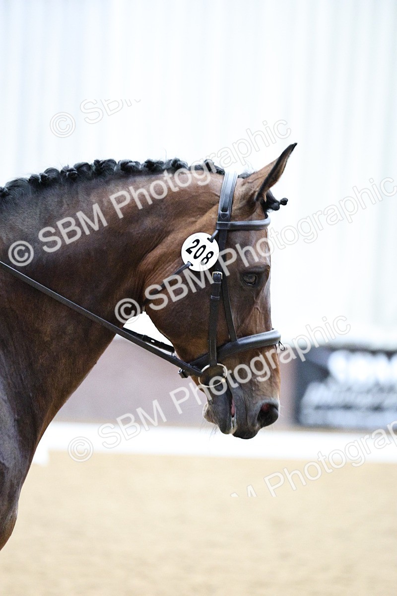 SBM_001311 - Class 5 - Novice 6