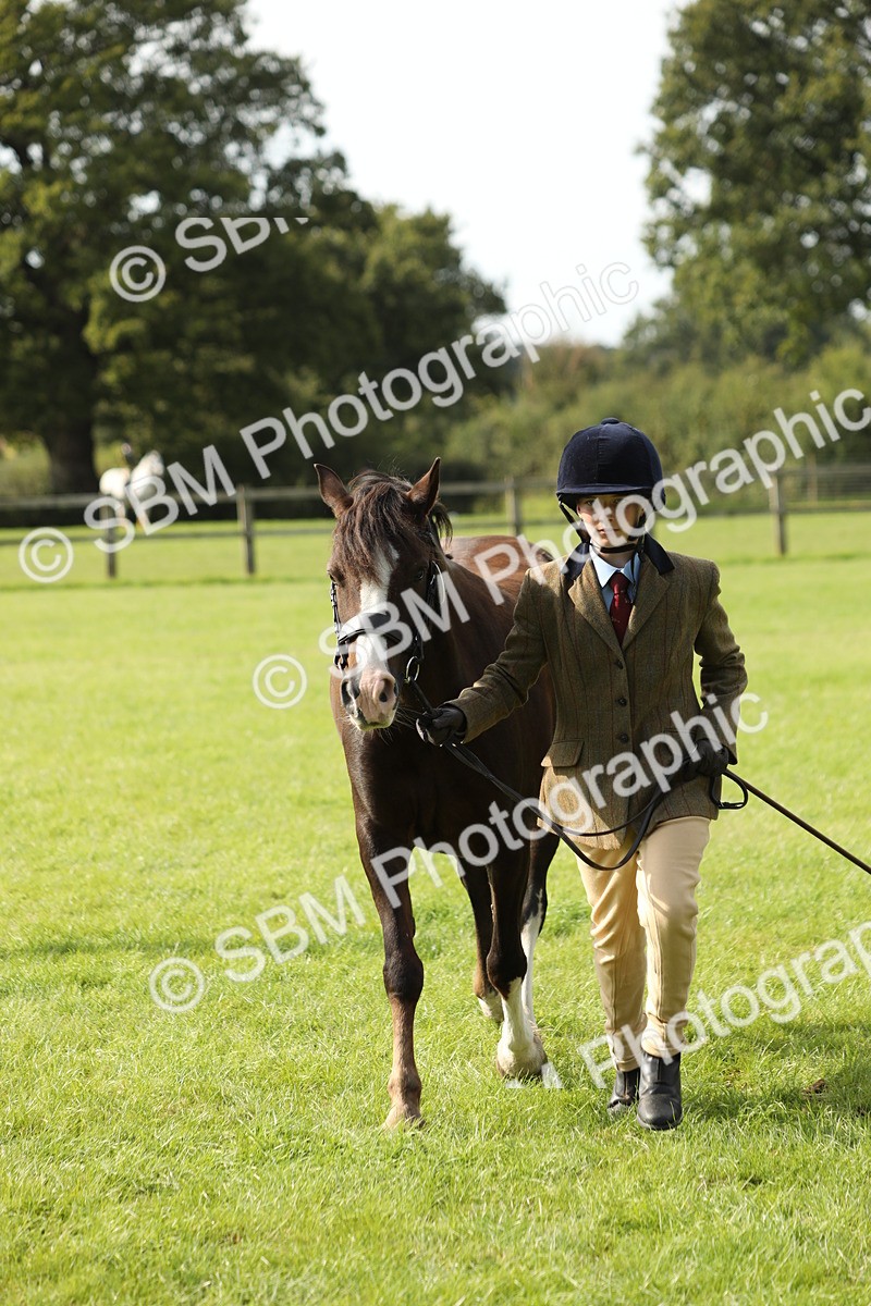 SBM_68636 - S40 - Junior Handler 9-12 Years