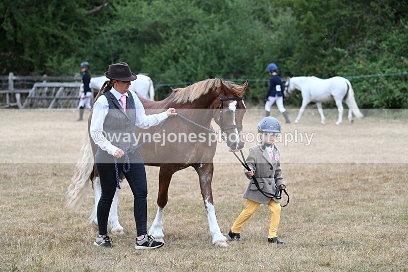 WJ7_8051 - Class 4 Prettiest Mare up to 14.2hh