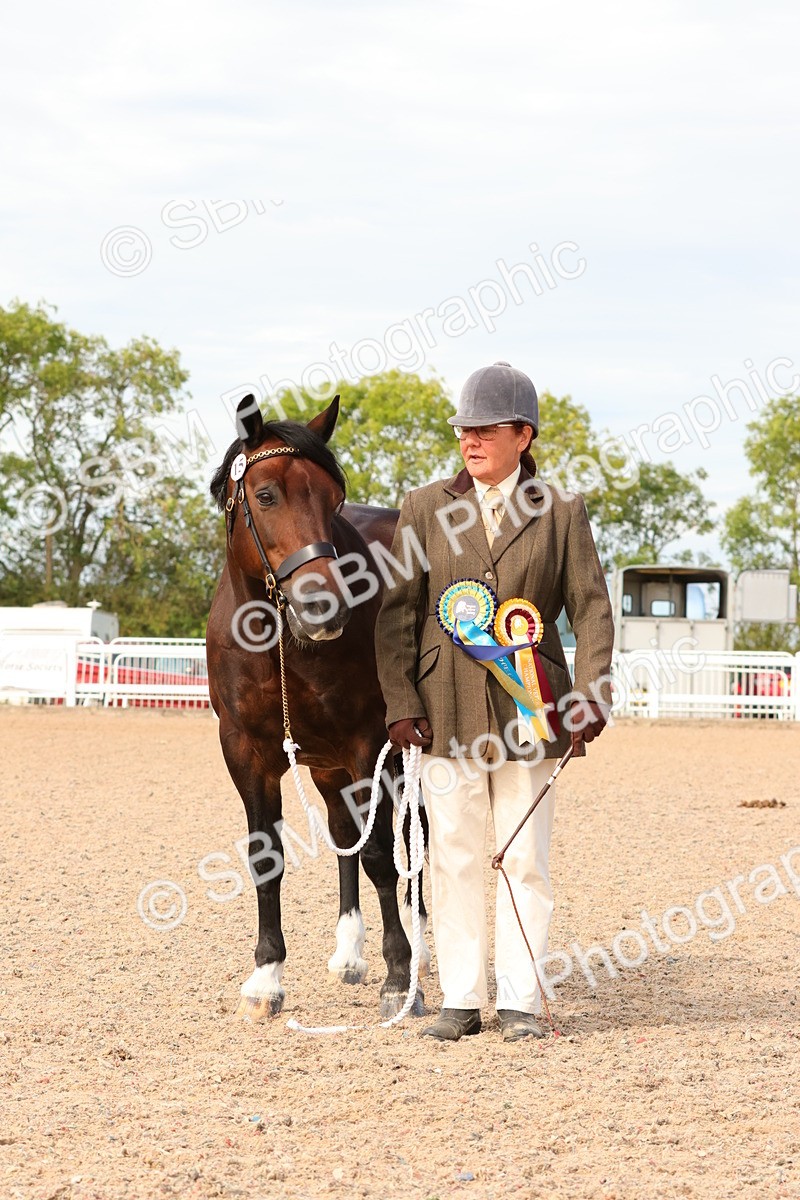 SBM_18067 - Class 707 - IH Groom - Helpers Glass