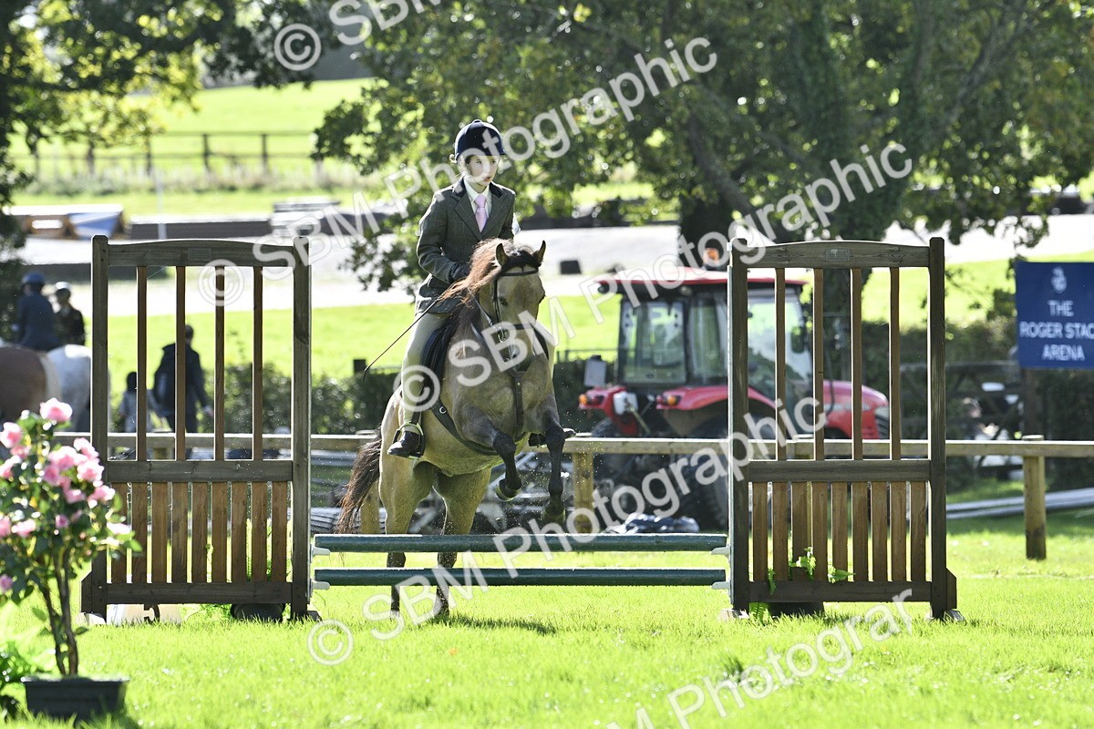 SBM_38244 - S31 - Novice & Newcomer Working Hunter Pony