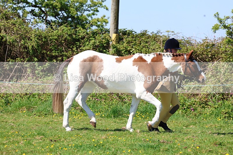 3E7A9923 - Class 17: Young Handler