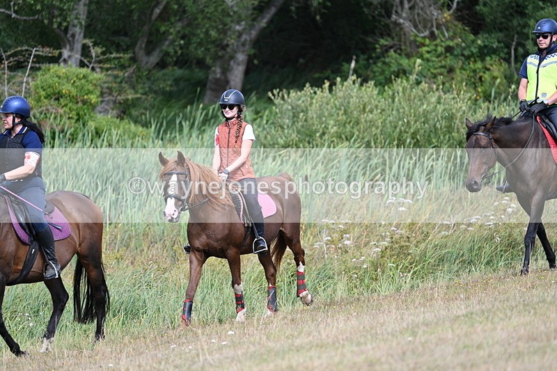 WJ7_5224 - Time 11:22 to 11:41