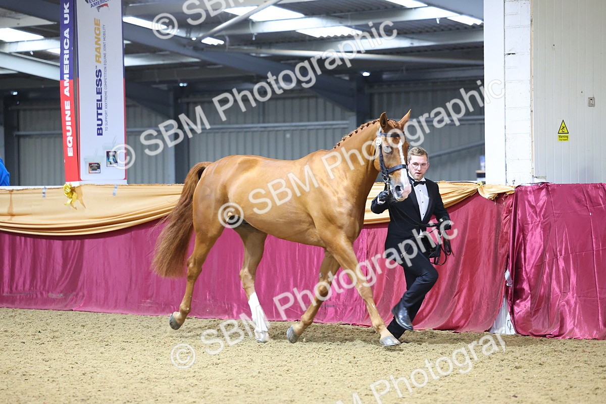 SBM_20834 - Class 902 - Supreme Final IH Veteran