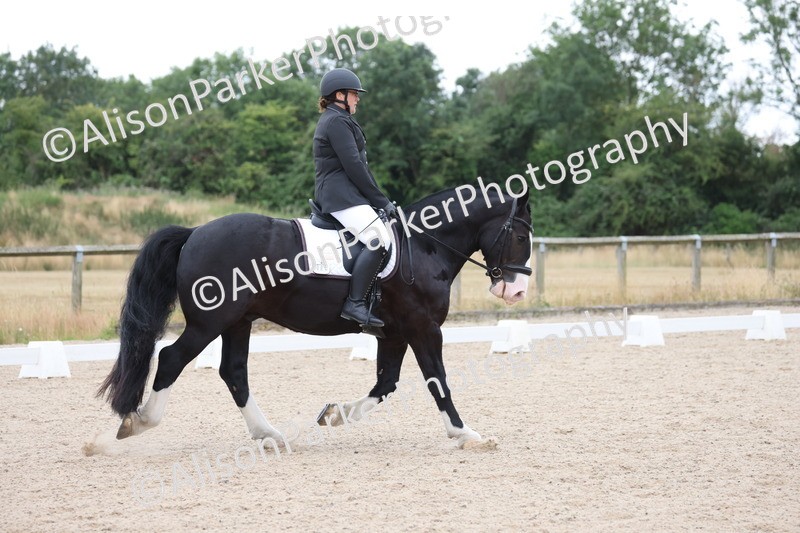 20250706-0098 - Class 11 - MQ Open Novice Test 3