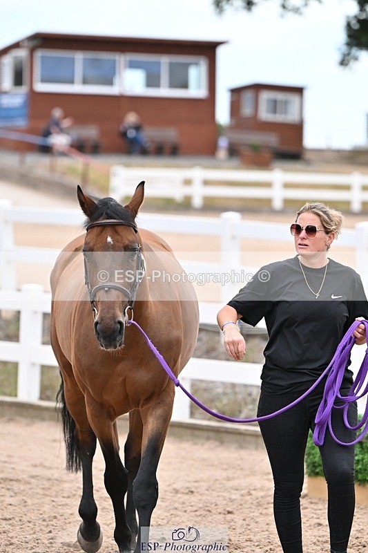 250716-140439-00889 - Trot Up 1.30 to 2.30