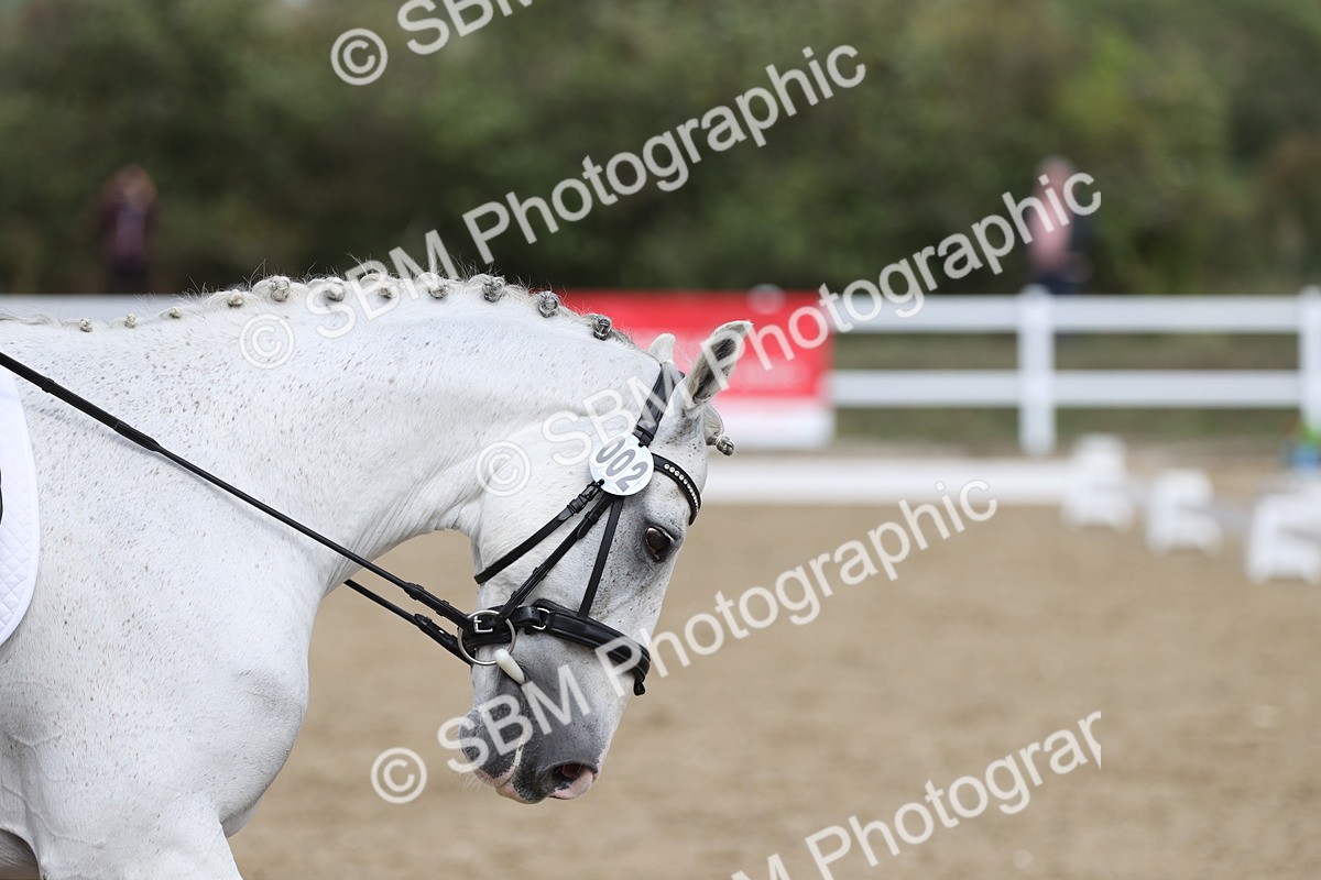 SBM_003632 - Class 6 - Prelim 3 Champs