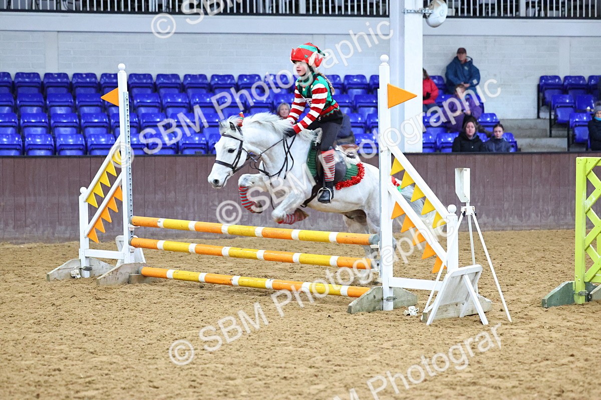 SBM_001352 - Class 3 - Christmas Tree Stakes - 60cm