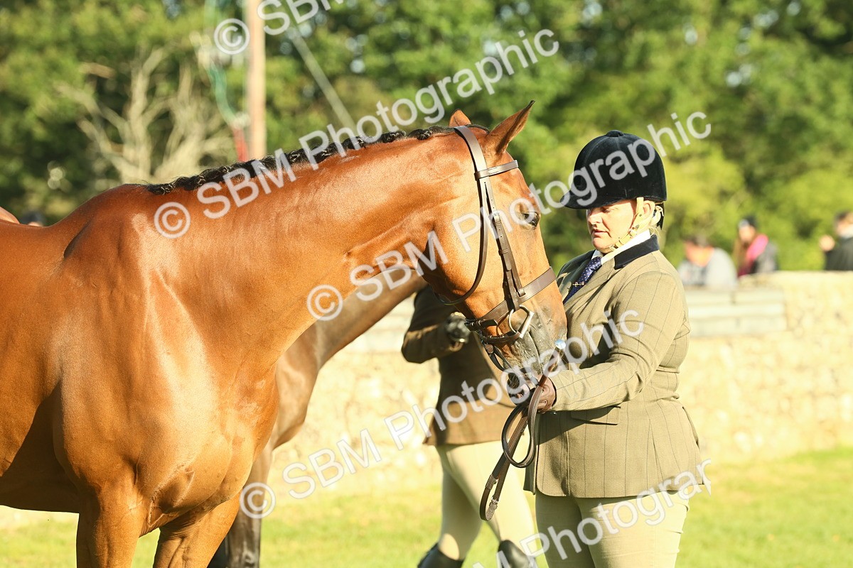 SBM_58608 - S37 - Starters In Hand Showing