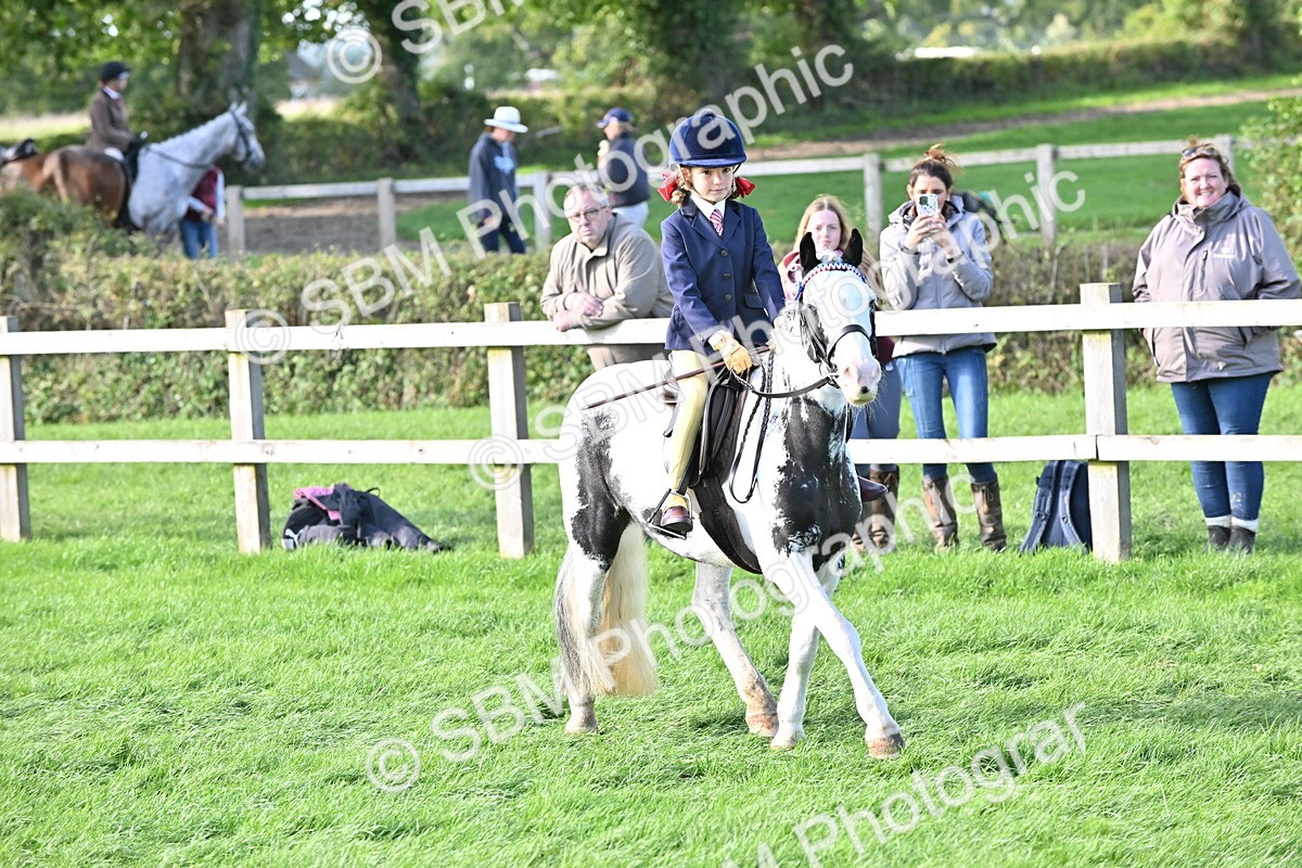 SBM_51226 - S22 - First Ridden show and show Hunter Pony