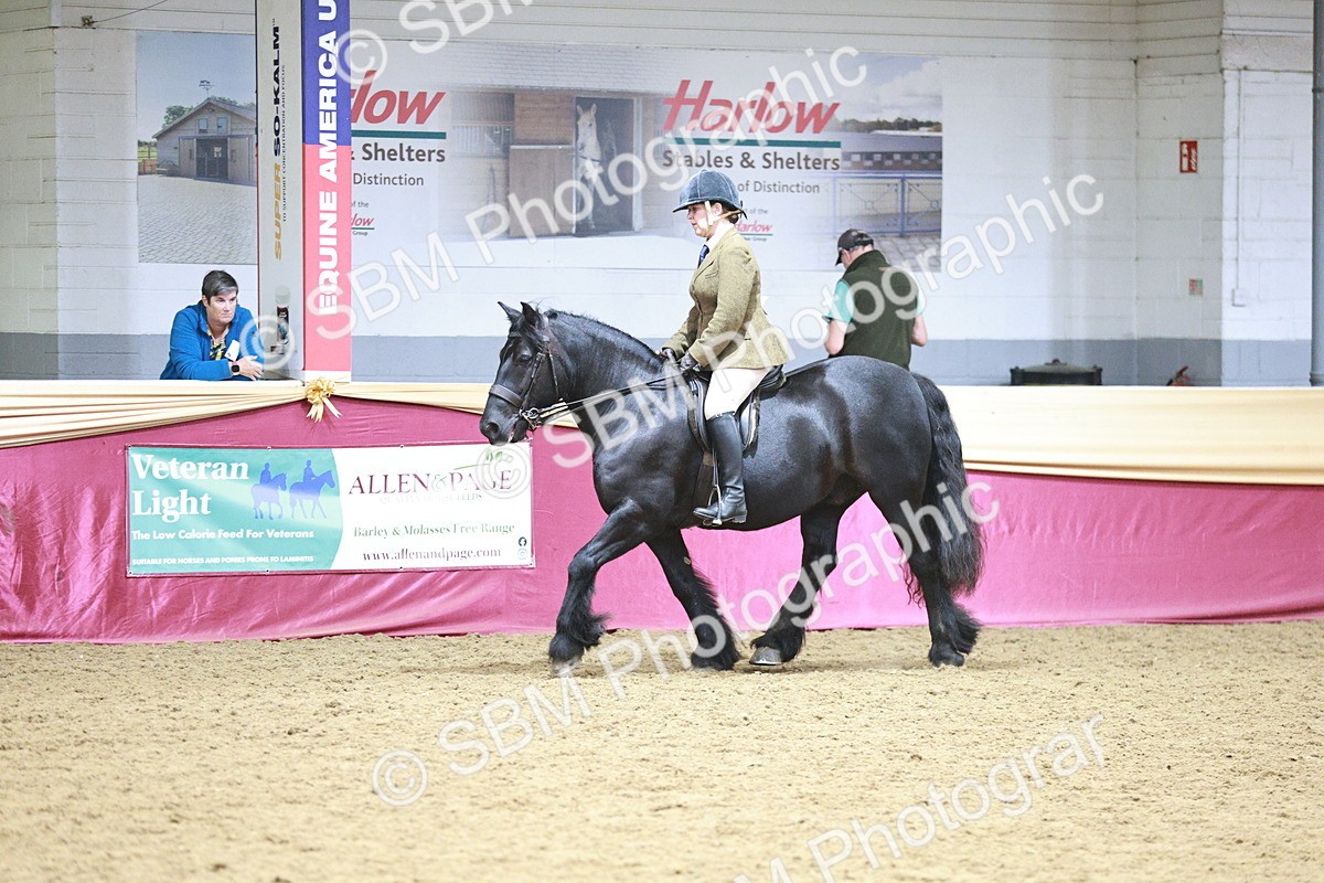 SBM_09039 - Class 12R - Regional Ridden Pre-Vet