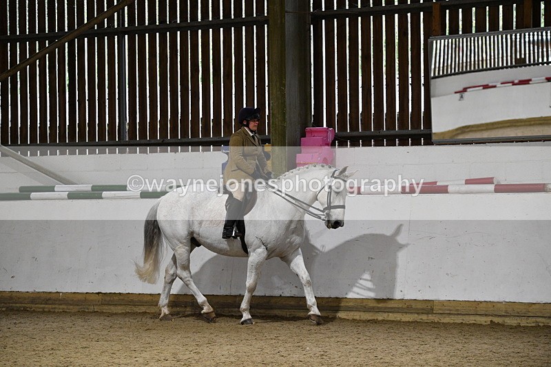 WJ5_8769 - Class 15 Ridden Show Horse