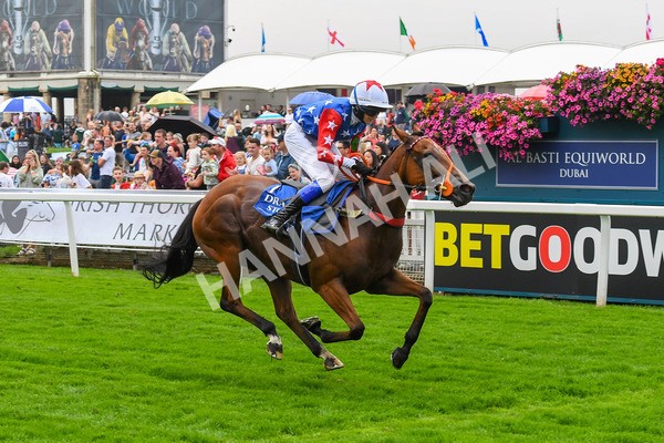 100923-Pony Race 1-Seal The Deal-0098 - Pony Race 1 12.25 The Dragon (TV and Film) Studios Pony Race 148cm & Under