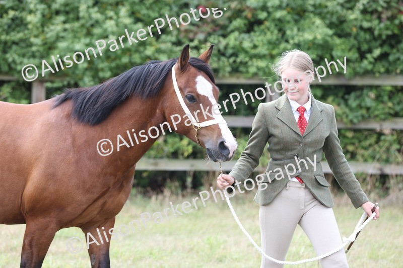 20250831-3043 - Class 23 - Child Handler