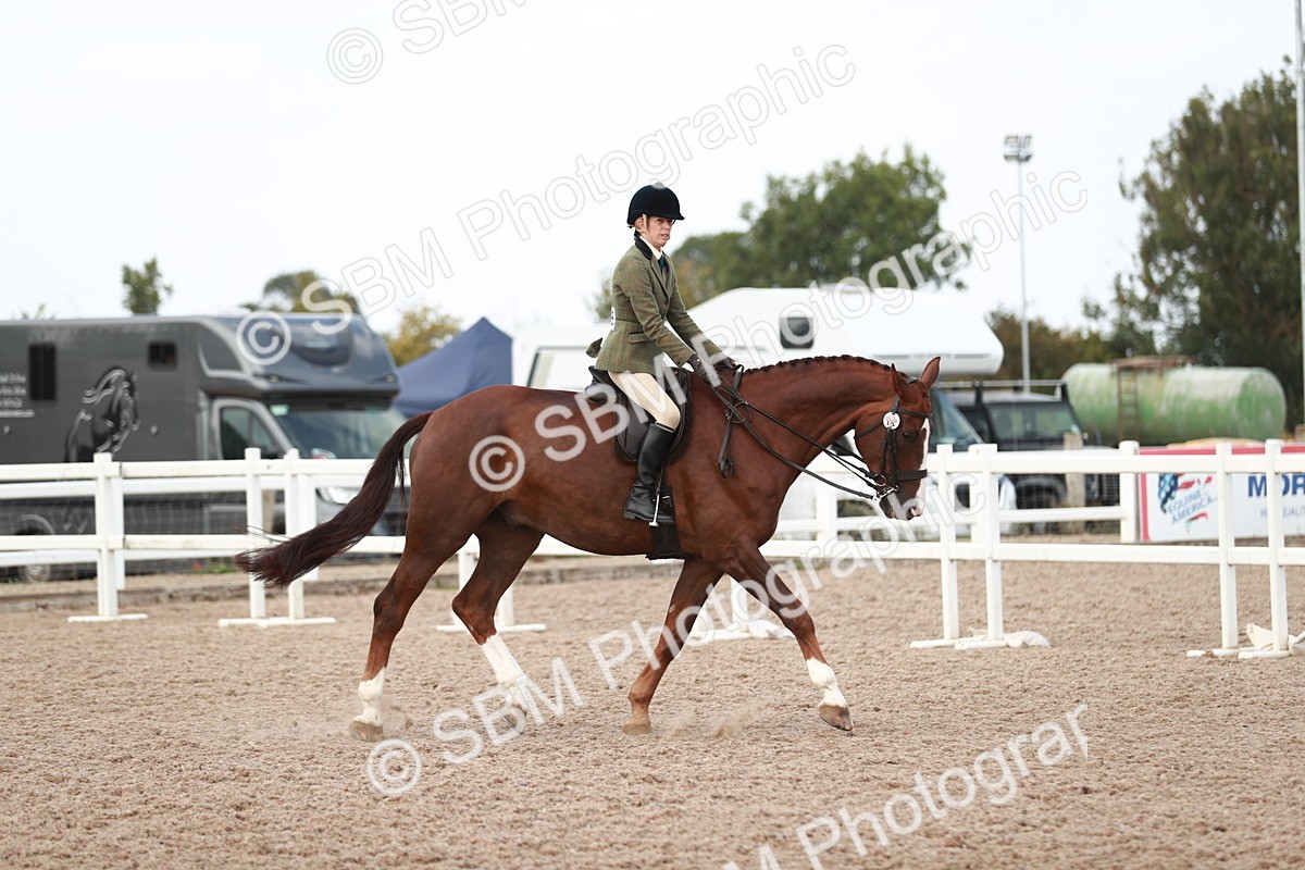SBM_15484 - Class 213 Ridden Hunter -Large