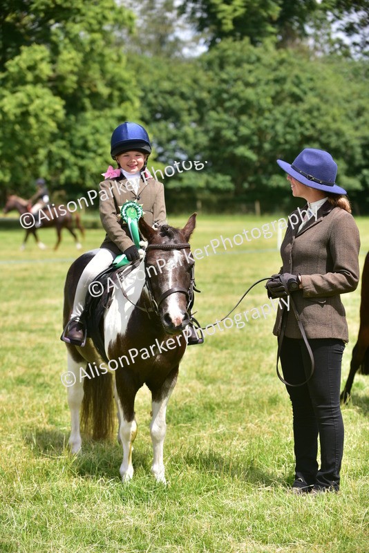 20260614-1411 - Class 11b - Lead Rein Pony (Plaited)