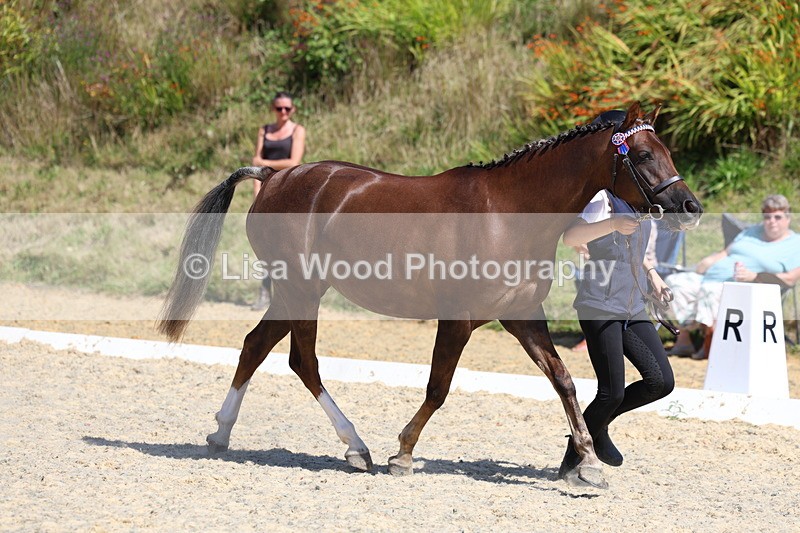 3E7A9704 - Class 32: Best Grass Kept