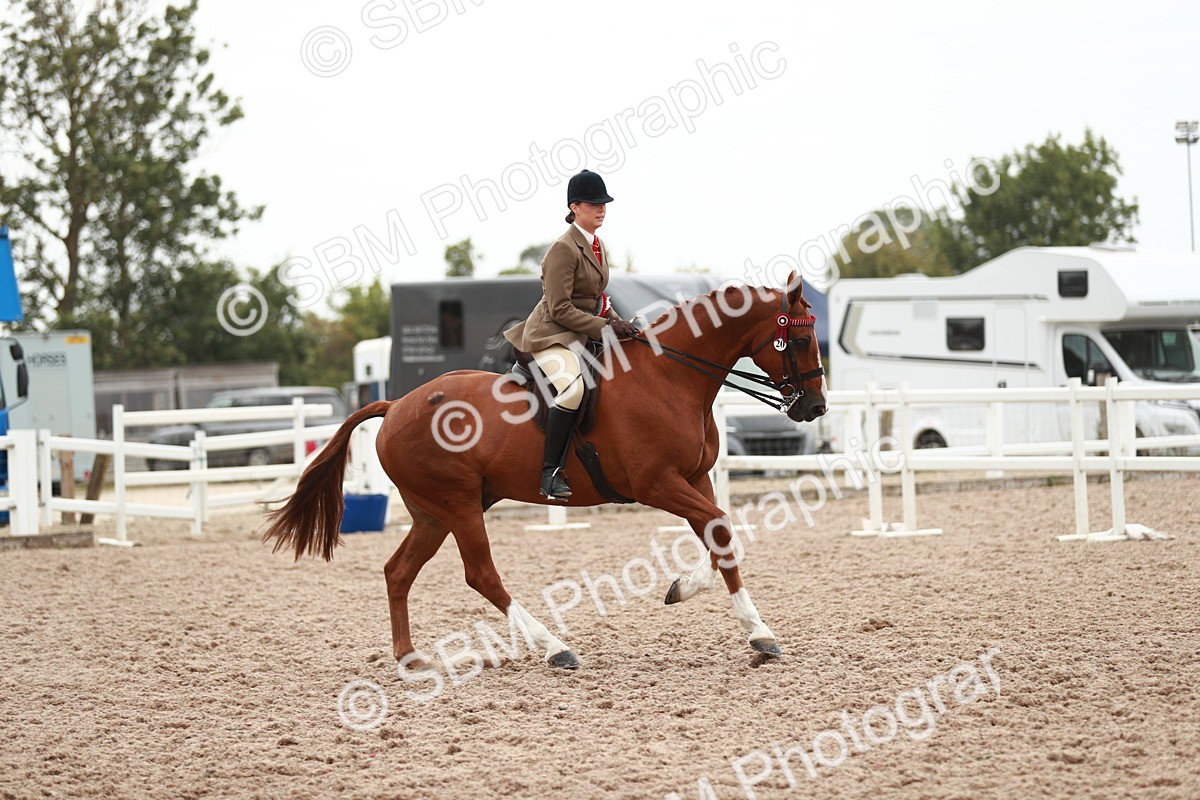 SBM_17645 - Class 215 Ridden Hack/ Riding Horse