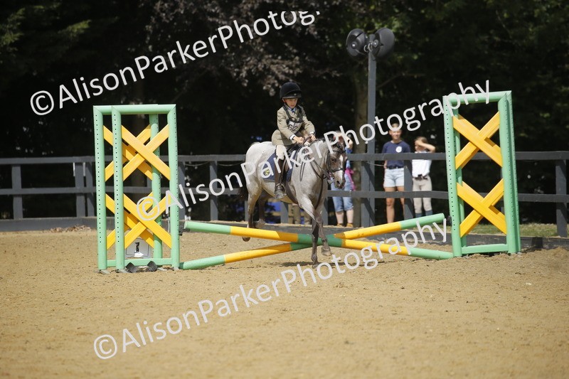 20250622-3837 - 50cm