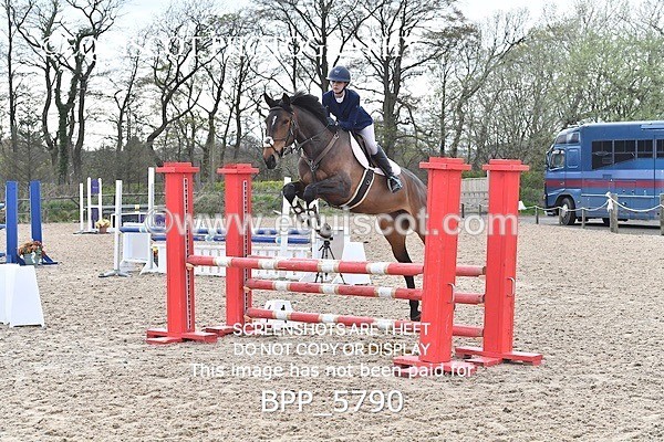 BPP_5790 - CLASS 24 SUN Senior British Novice/ 90cm Open