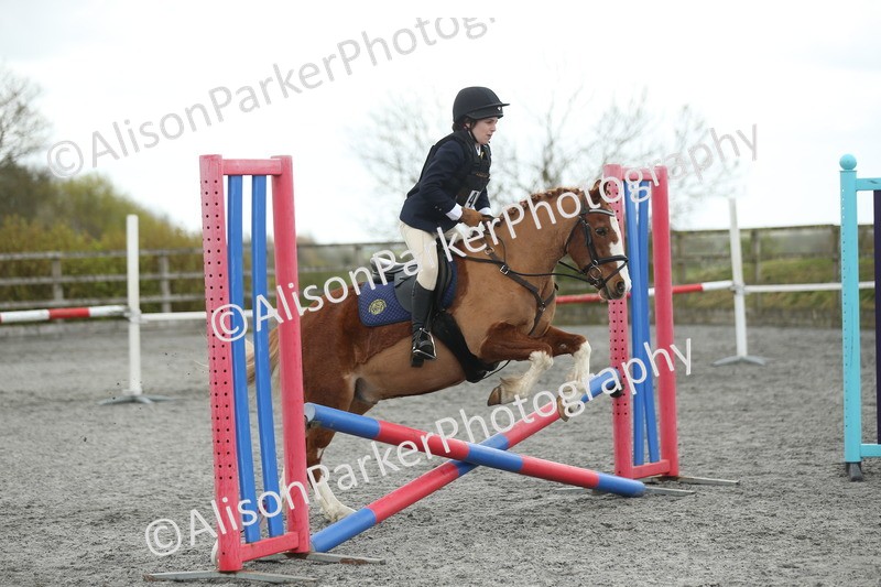 20260412-0608 - Show Jumping