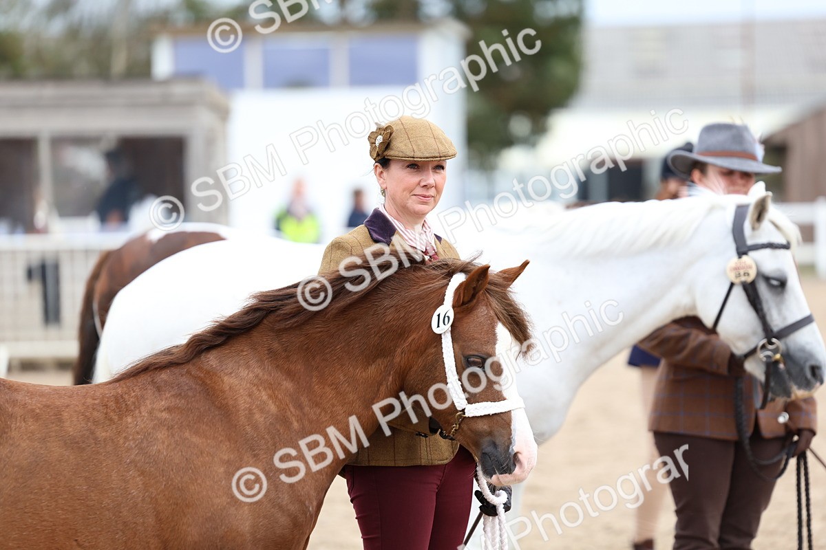 SBM_05936 - Class 29 - IH Veteran Pony