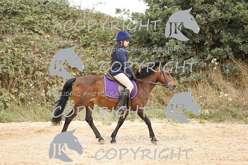 _R6A0896 - Sand arena