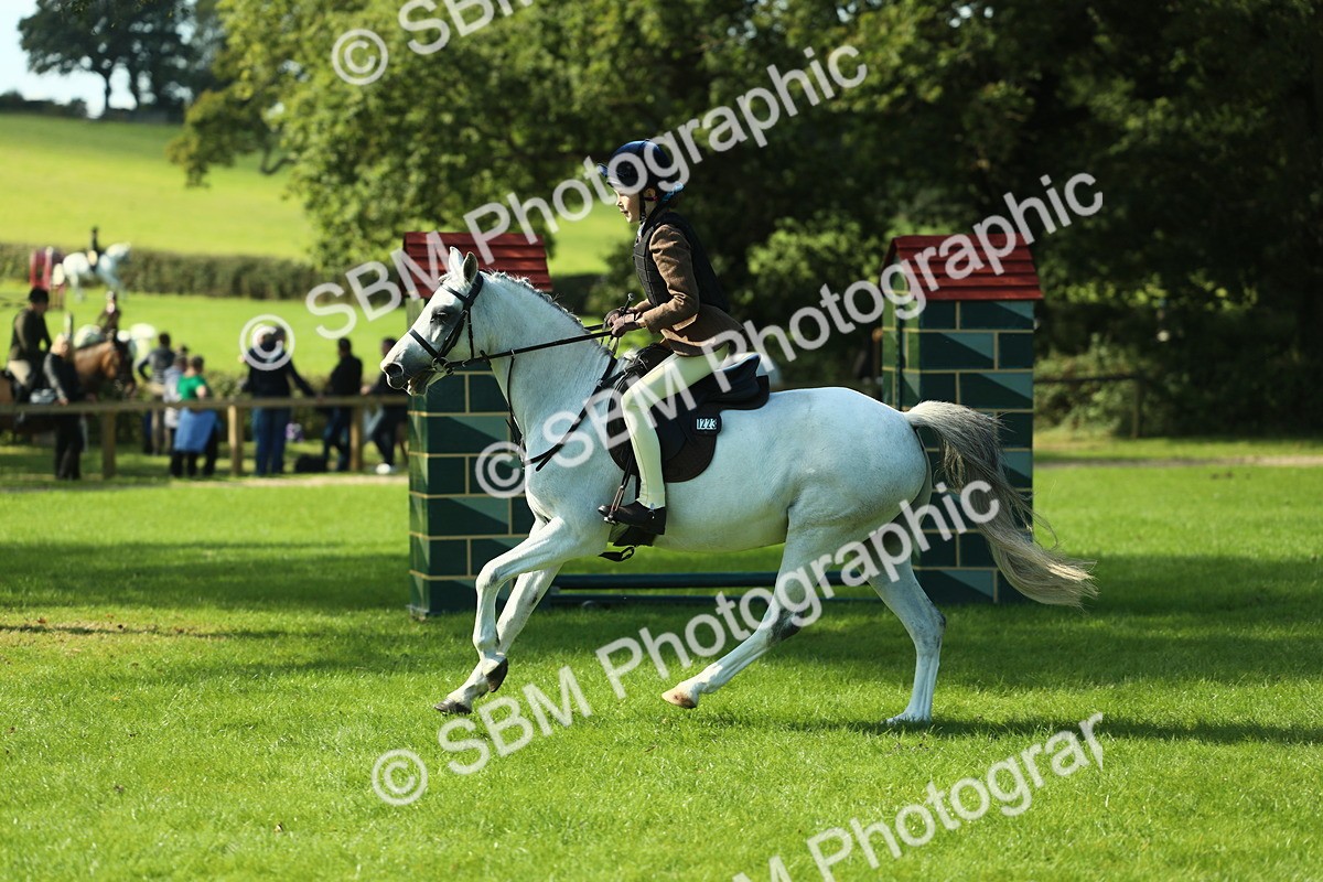 SBM_39207 - S29 - Novice & Newcomers Working Hunter Pony