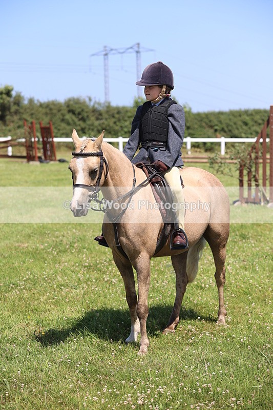 JPP_2279 - Class 20: Tiny Tots Working Hunter Pony