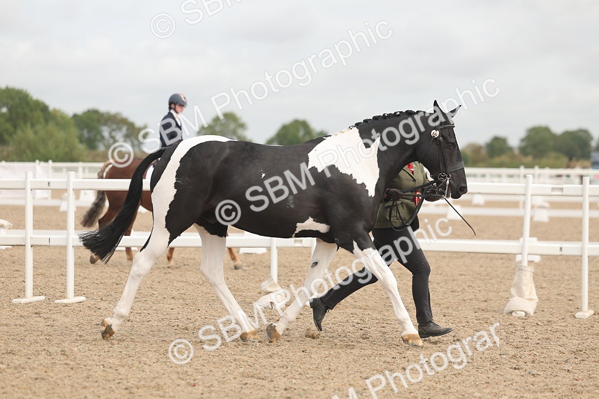 SBM_02149 - Class 15 - IH Coloured