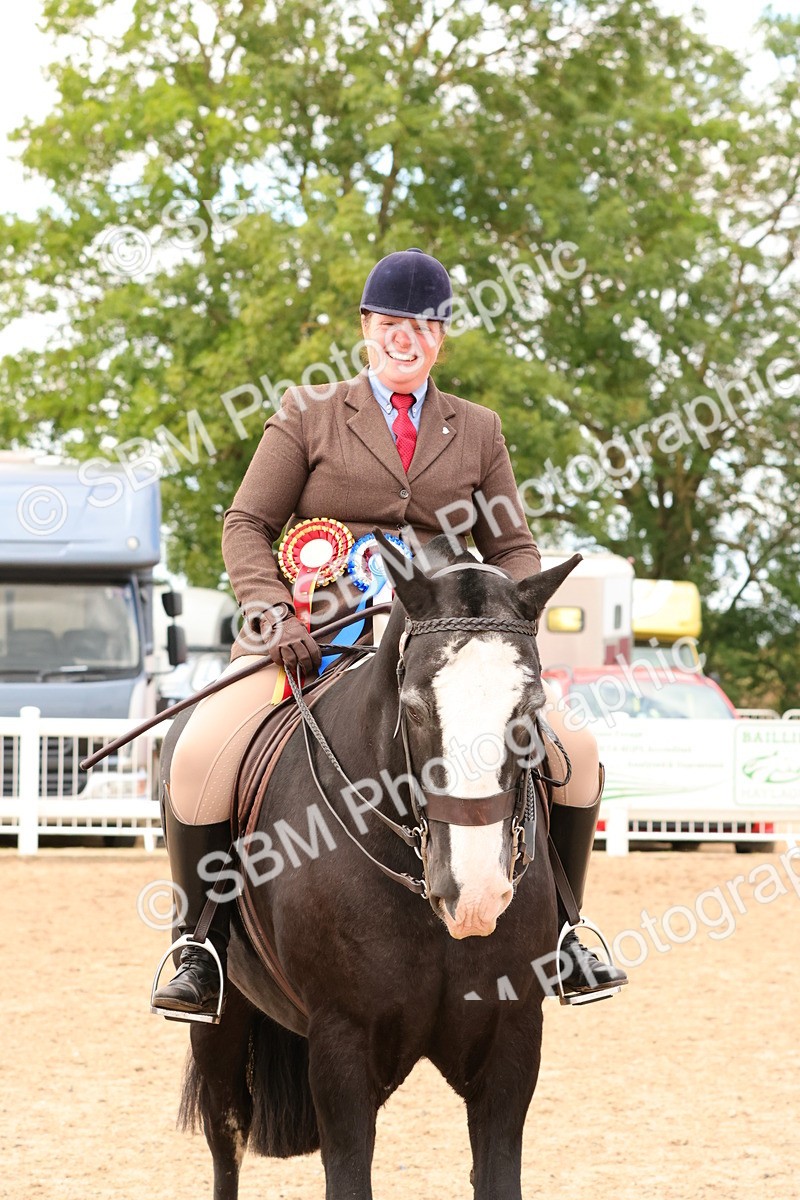 SBM_15593 - Class 214 - Ridden Show Cob