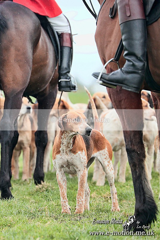 PtP 230324 30 - Tedworth Hunt PtP Larkhill Raccourse 23rd March 2024