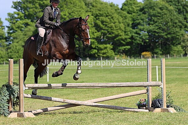 IMG_4786 - Working Hunter