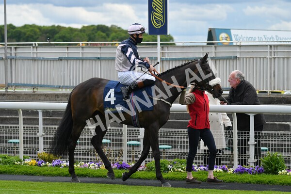 yr22052021r2-6 - Race 2 2.40pm William Hill Brontë Cup