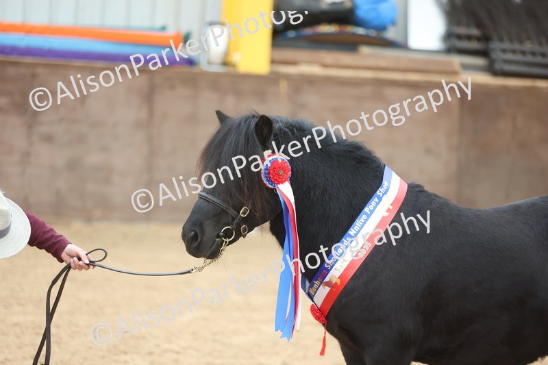 20251109-0134 - Championship