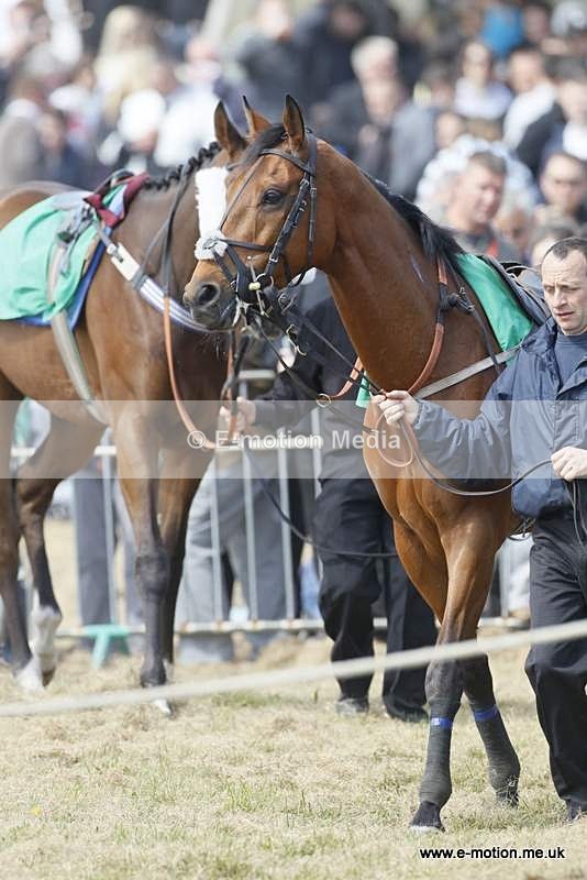  GRD 030510 107 - Guernsey Race Day 03/05/10