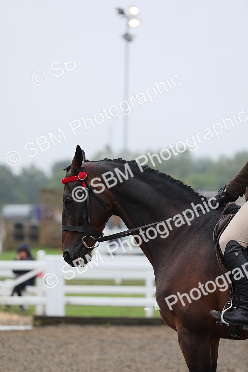 SBM_20049 - Class 802 - Ridden Groom - Helpers class