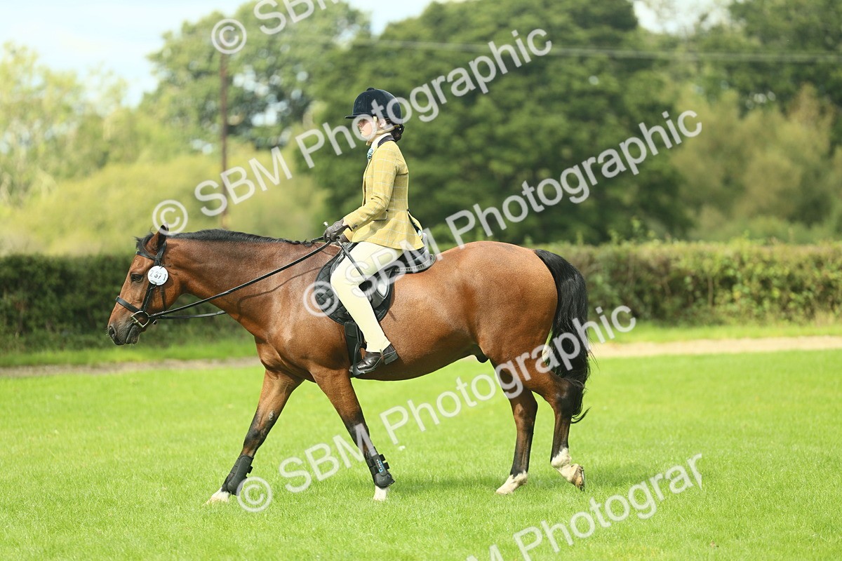 SBM_42119 - S29 - Novice & Newcomers Working Hunter Pony