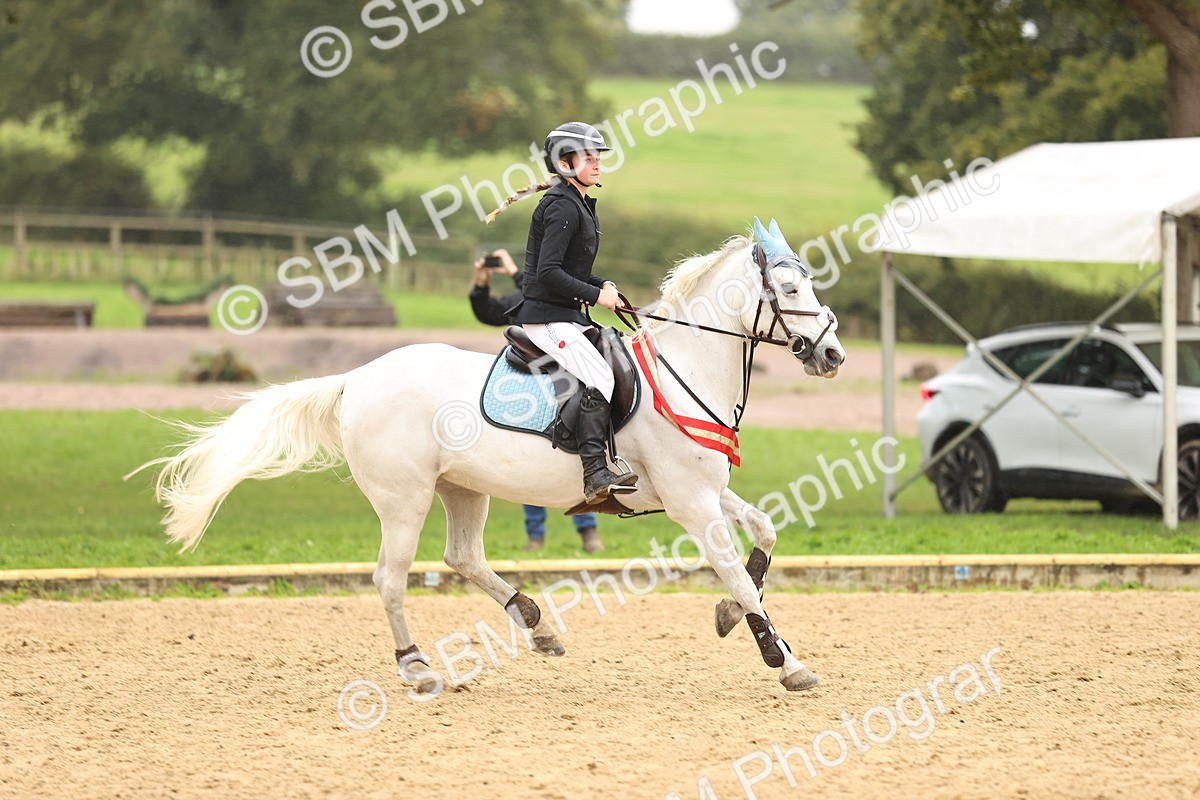 SBM_70108 - Supreme Championship 80cm 85cm