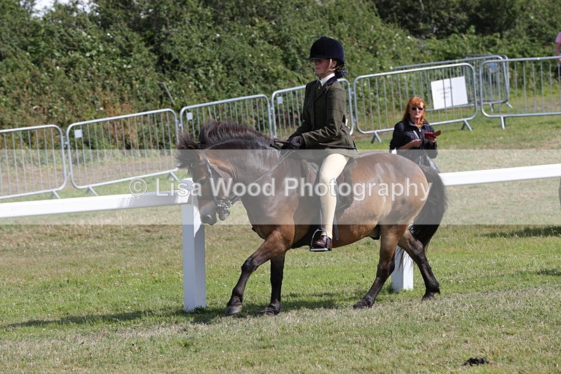 1X9A5596 - Class 39: NPS Dartmoor, Exmoor, Shetland