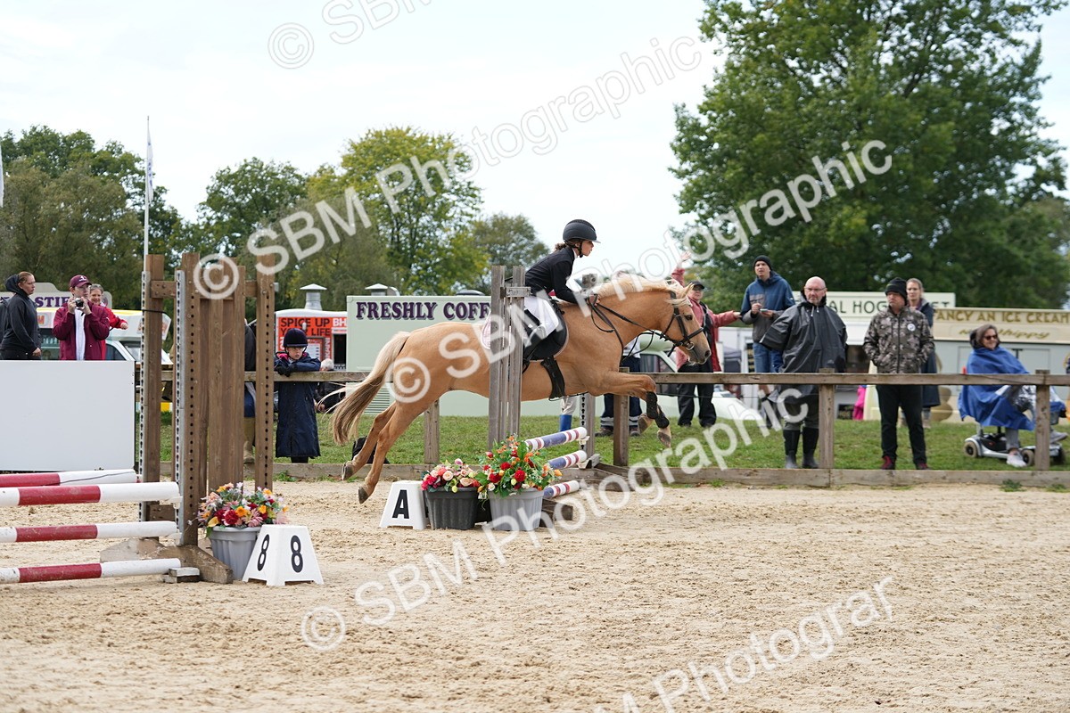 SBM_40034 - J6 - Junior Pony 55cm Championship