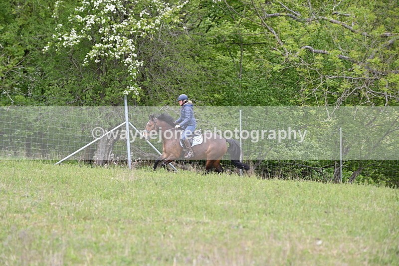 WJ6_1925 - Group 8 A&B Cameras