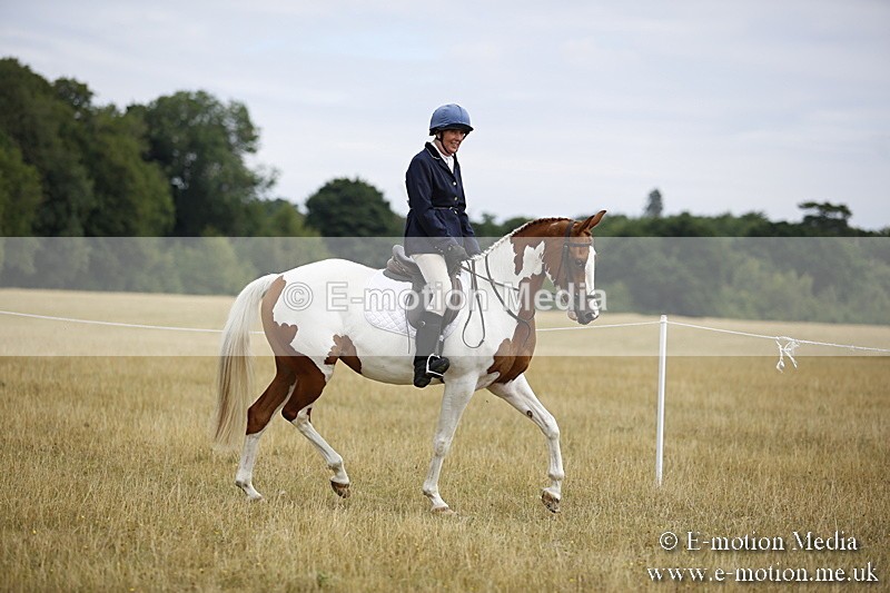 _C7A9473 - BVRC Show 2018 Ring 1