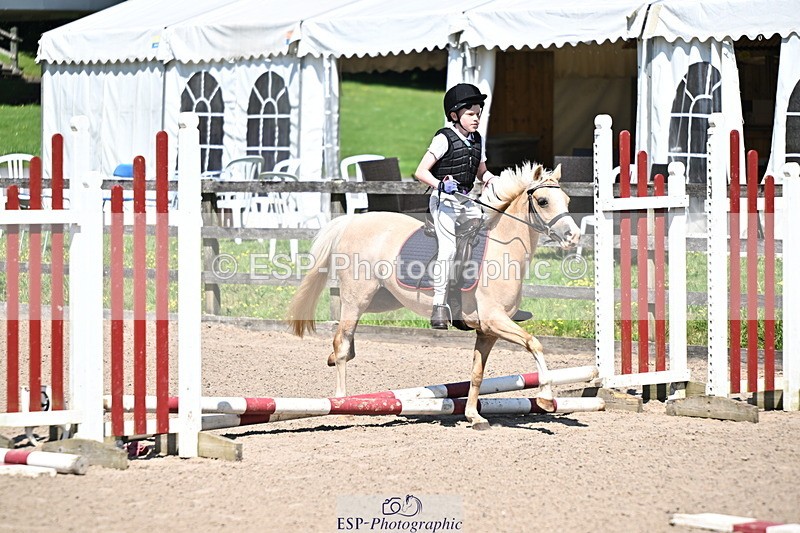 240729B-114321-02508 - Showjumping Competition